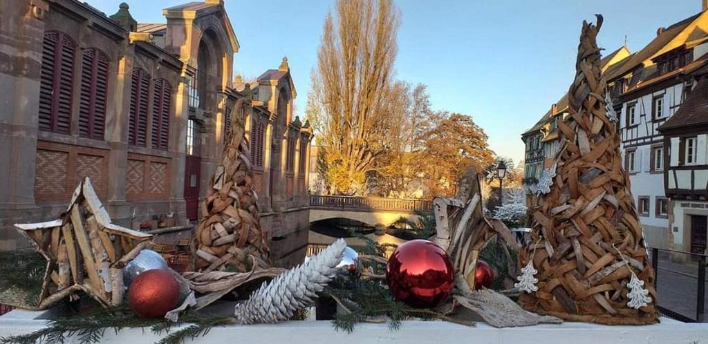 Le St Josse Gite Tout Confort A Colmar Bagian luar foto